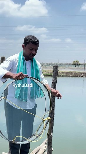 44K views · 1.5K reactions | Aquaculture Techniques #reels #ryhubadi #రైతుబడి #prawns #రొయ్యలసాగు #RajenderReddy #Agriculture #farmers | తెలుగు రైతుబడి | Facebook