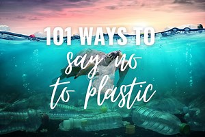 Say No To Plastic: 101 Ways To Save Our Ocean