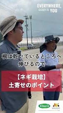 ネギ栽培初心者必見！土寄せのポイントを徹底解説🧑‍🌾 #ヴィルモランみかど#おいしい野菜の種