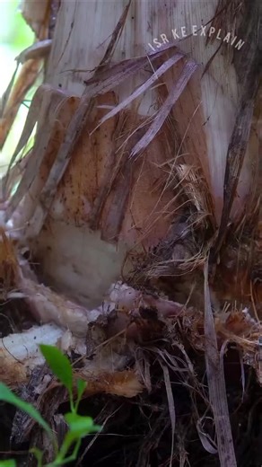 #1million #fypviralシ #armylover #foryoupagе #viralvideos