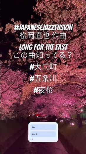 松岡直也 作曲 LONG FOR THE EASTこの曲知ってる？#大口町 #五条川 #夜桜 #japanesejazzfusion