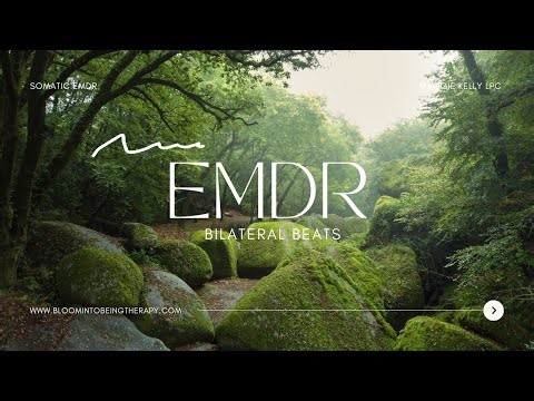 8 hr Celtic Music Nervous System Reset for Anxiety | EMDR Bilateral Sounds for Safety & Calm