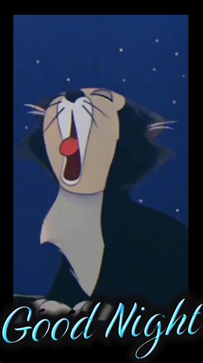 Funny Good Night TikTok Compilation