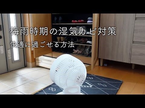 【梅雨対策】湿度とカビ予防｜簡単な方法で快適に過ごす