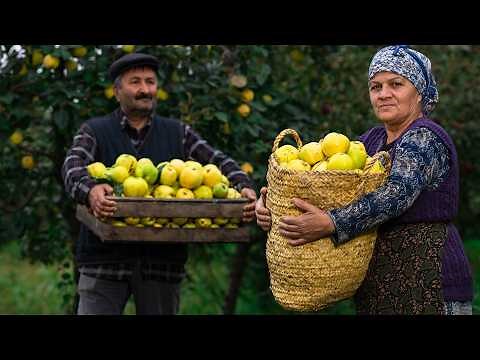 Quince in Season | Easy & Delicious Recipes for a Perfect Dinner!