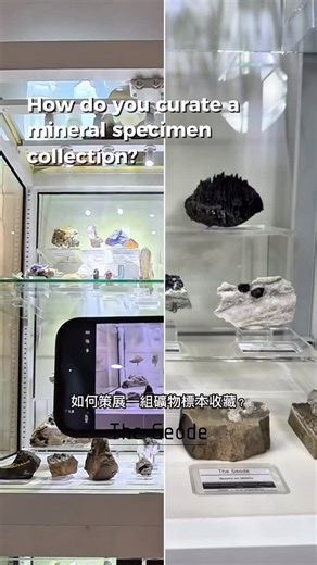 The Geode | Crystals | Mineral Specimens on Instagram: "How do you curate a mineral specimen collection? Here’s one approach: Fifteen specimens, curated around a single theme. “Matrix: The crystal’s natural habitat.” By grouping minerals according to their matrix, each piece reveals the environment that shaped it. When viewed together, the collection gains direction and coherence — the specimens begin to tell a story on your behalf as a collector. We hope this video offers inspiration for curati