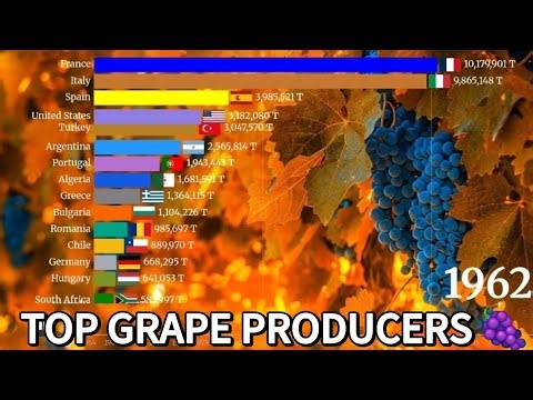 Global Grape Production (1961–2023)
