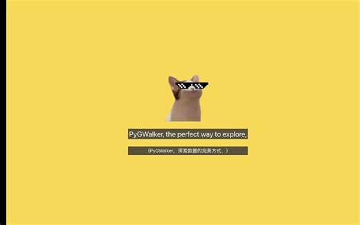 PyGWalker Rap Music: 一行代码将你的数据转化为一个可视化分析工具