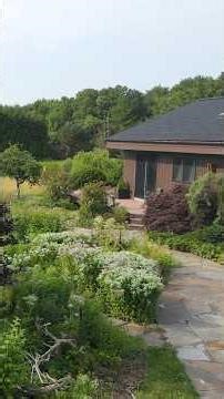 JULY GARDEN TOUR of Pollinator, Herb, 4-Season and Shrubbery Garden #gardening #gardendesign