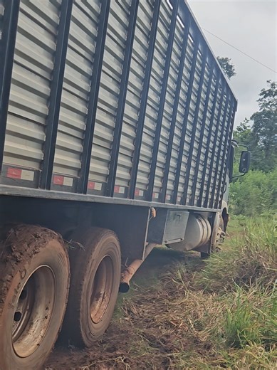 Fofa Chão: Aventura dos Caminhoneiros Brasil