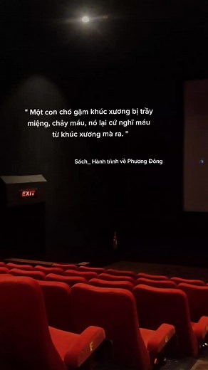 Exploring the Atmosphere of an Empty Movie Theater