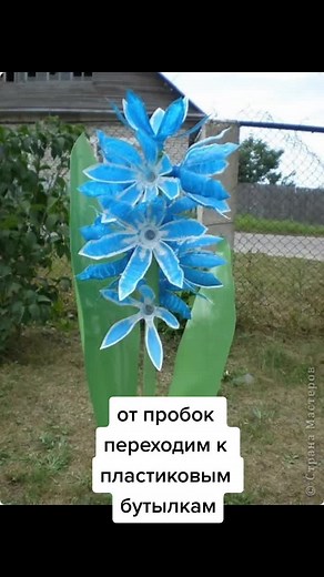 Artistic Sculptures Made from Recycled Bottle Caps