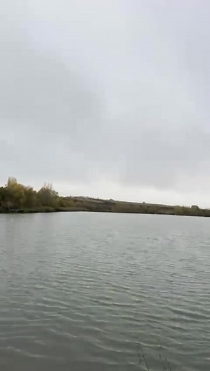 Birthday sesh Arrow Meadow Fishery for my sons 8th birthday hopefully have one in the bank for him | Jord’s Carp Life