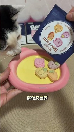 Cat's Dental Treats: Chewing Fun & Satisfaction