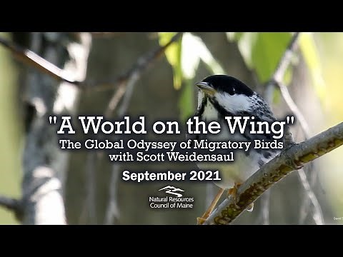"A World on the Wing: The Global Odyssey of Migratory Birds" with Scott Weidensaul