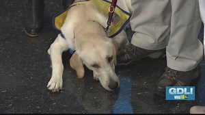 Check out the PAW Patrol Road Tour at the State Fair