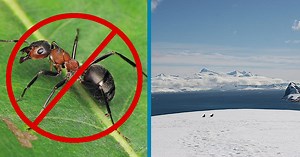 9 Unbelievable Facts about Antarctica That Will Chill You to the Bone