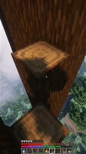 Readying the trunk of the tree