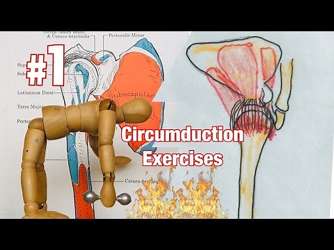 Shoulder Circumduction Exercises