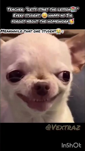 That one student🙄 #studentlife #funnyshorts #relatable