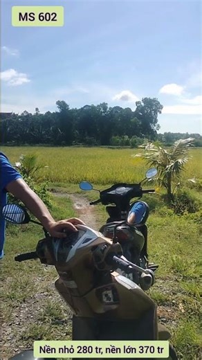 MS 602 land near Tra Vinh University, separate book for each plot, phone 097 229 7474