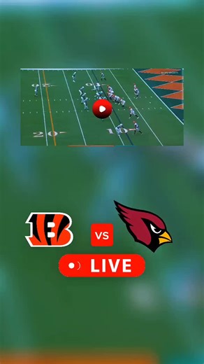 Bengals vs Cardinals Live Stream: Week 17 NFL Game