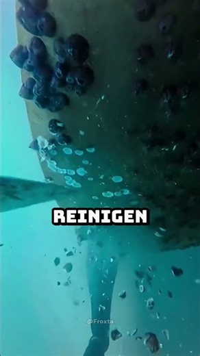 Cleaning propellers underwater ⚓️