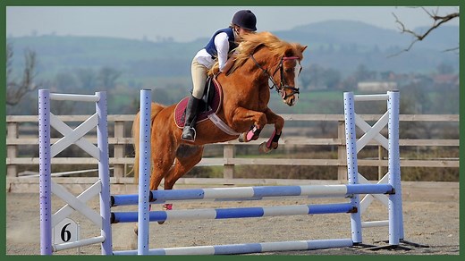 KS2 PSHE: Have Your Say! 4: Self-esteem - proud to be me