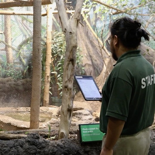 The Toronto Zoo on Reels