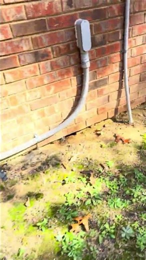 This is what happens when a water heater is broken in the basement!