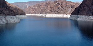 Fish survive at Lake Mead despite low water levels