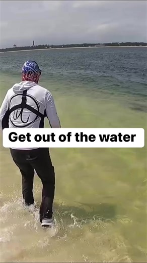 74K views · 307 reactions | Big fish on the beach | Brant Peacher Realtor | Facebook