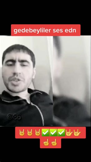 Understanding Hand Gestures in Everyday Communication