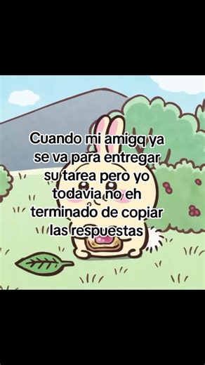 #identificarse #fyp #usagichiikawa #saquenmedelflop #amigos