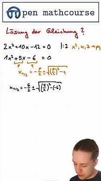 Gleichungen mit pq-Formel lösen | 14 #mathe #nachhilfe #abitur