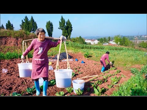 The Toughest 85-year-old Grandma in China, Hardworking and Happy Daily Routine