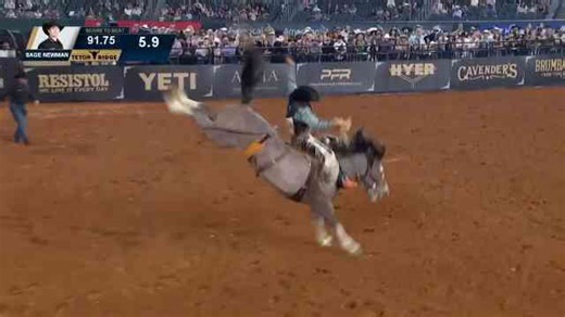 Saddle bronc runs that were pure art - why these runs stood above the rest