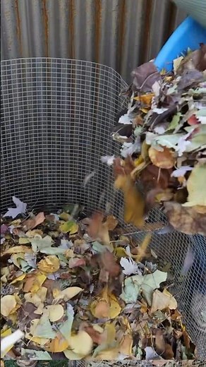 How to Make Leaf Mold & Improve Organic Garden Soil