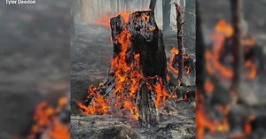 Oregon governor issues executive order to boost climate resilience efforts