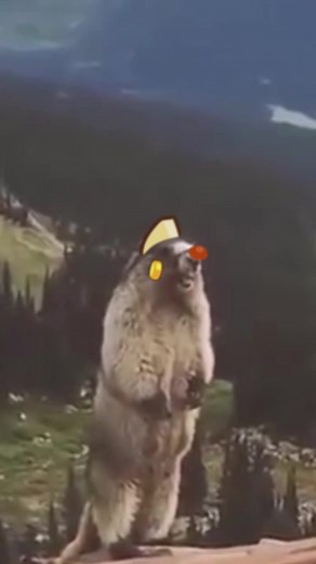 Monk players will understand.