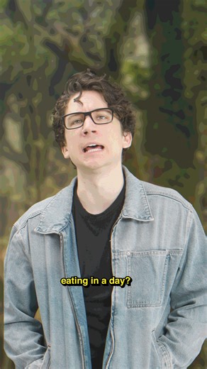 The Tree of Ancient Knowledge and Wisdom | Daniel Thrasher