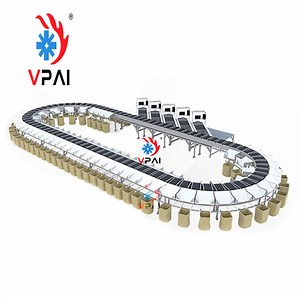 [Hot Item] Factory Direct Supply Dws Parcel Sorting Machine Linear Cross Belt Sorting Conveyor System