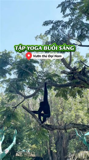 8.5K views · 248 reactions | Chill chill ‍↔️ | Đại Nam Văn Hóa Du Lịch Thể Thao | Facebook