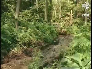 Imagine car manufacturers demonstrating their cars capabilities in such a fashion in this day and age. I particularly like the low box demonstration and their suitable attire. | Extreme4WD Ltd