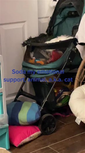 Kristi Fournier aka princess (@kristifournier1)’s videos with original sound - Kristi Fournier aka princess