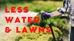 Lawn Care During Drought: Water Restriction Tips