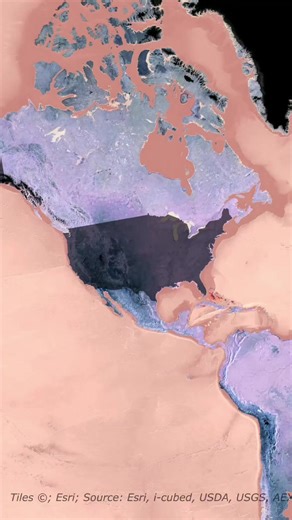 These are the Biggest Online Platforms by Country 🌍 #socialmedia #apps #platforms #geo #maps