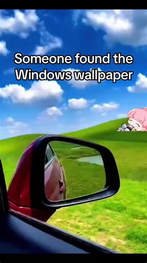 Who remembers this Windows background #memes #trending #trend #silly #windows #real