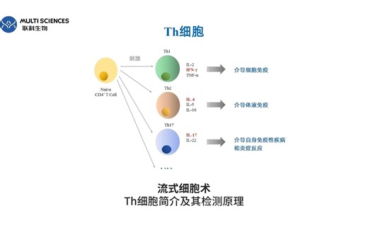 视频号-流式细胞术——Th细胞简介及其检测原理