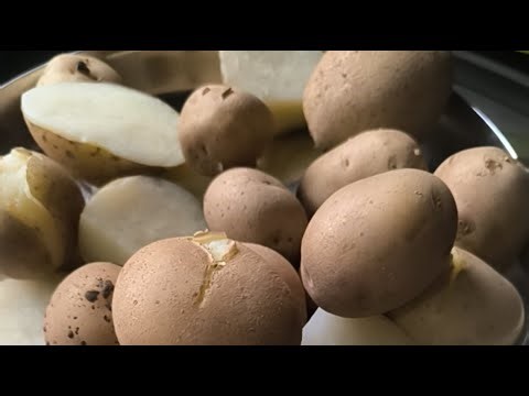 आज तो सभी के फैवरेट पराठे बना रही हूं 🤗|#aalooparatharecipe